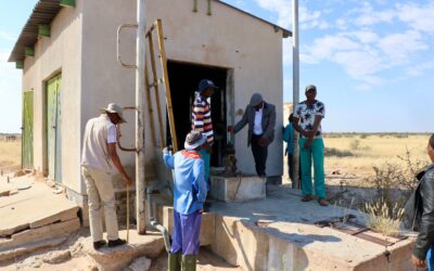 REVITALISING LIVESTOCK MARKETS IN OUTAPI